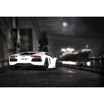 Sportauspuff Capristo Lamborghini Aventador LP700