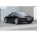 Sportauspuff Capristo Porsche 987.2 Boxster/Cayman Cat-back