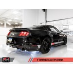Sportauspuff AWE Ford Mustang GT 5.0 S500 15-17 Cat-back Track Edition