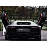Sportauspuff Quicksilver Lamborghini Aventador SV LP750-4 SuperVeloce (2016-)